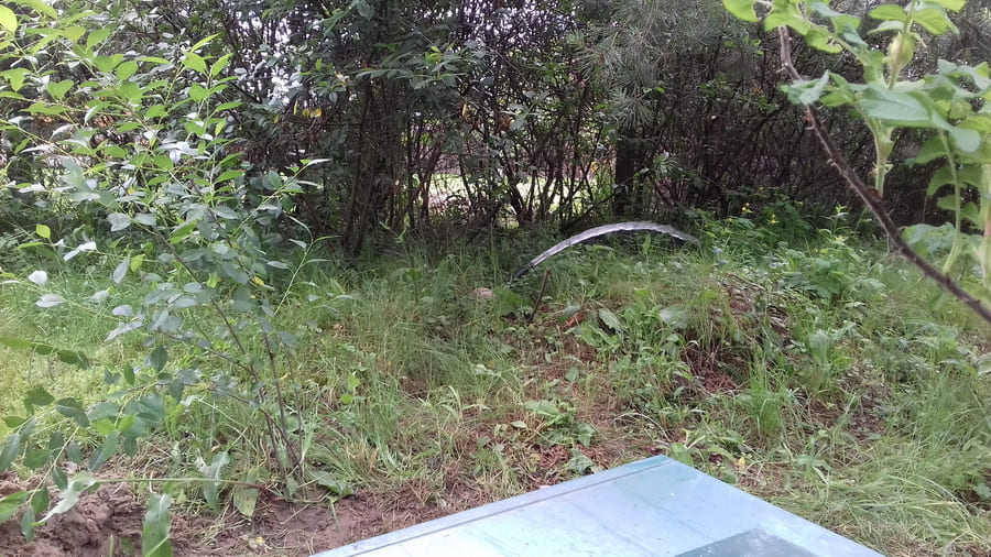 отвод воды из септика